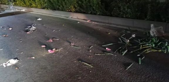 区附近真实一幕被曝光！凯发国际闹心！唐山某小(图2)