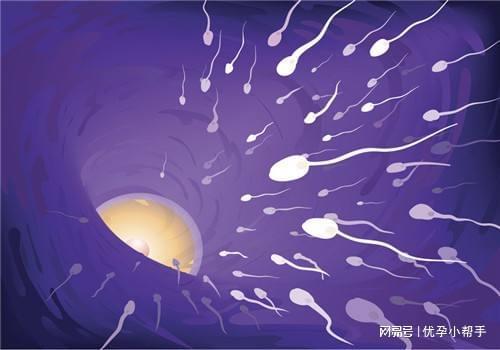 么容易忽略的细节呢？-优孕行凯发国际K8备孕过程中有什