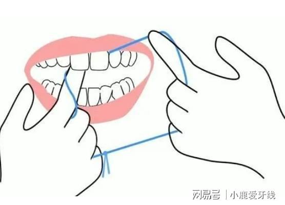 近--小鹿妈妈不只是牙线凯发入口清新口气你我更亲(图2)